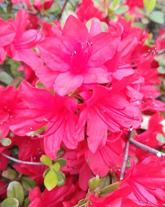 f:id:nonamed:20190419153518j:plain