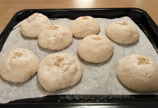 f:id:nonamed:20190429130835j:plain