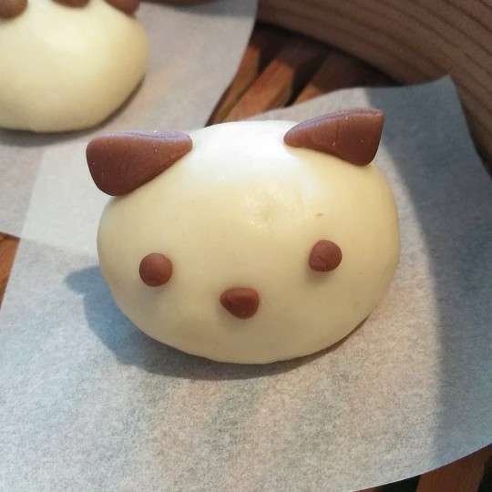 f:id:nonamed:20190429185527j:plain