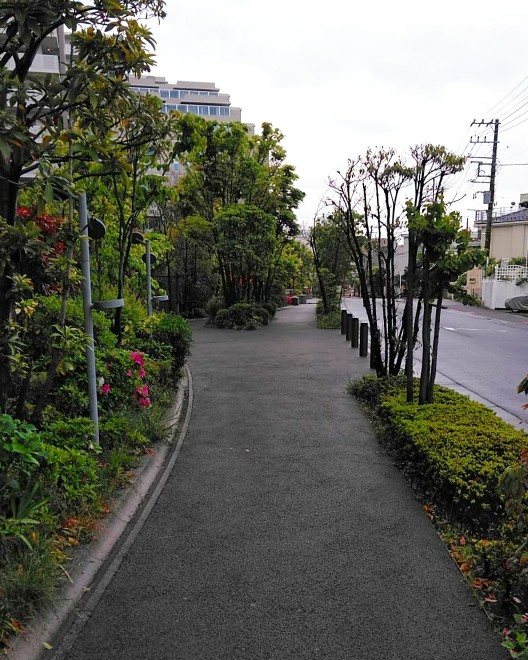 f:id:nonamed:20190502220407j:plain