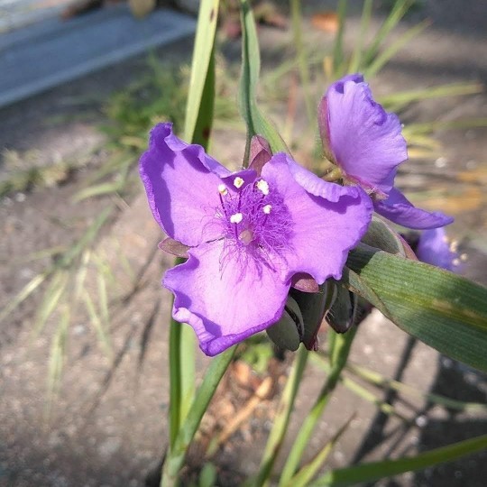 f:id:nonamed:20190503111130j:plain f:id:nonamed:20190503111130j:plain