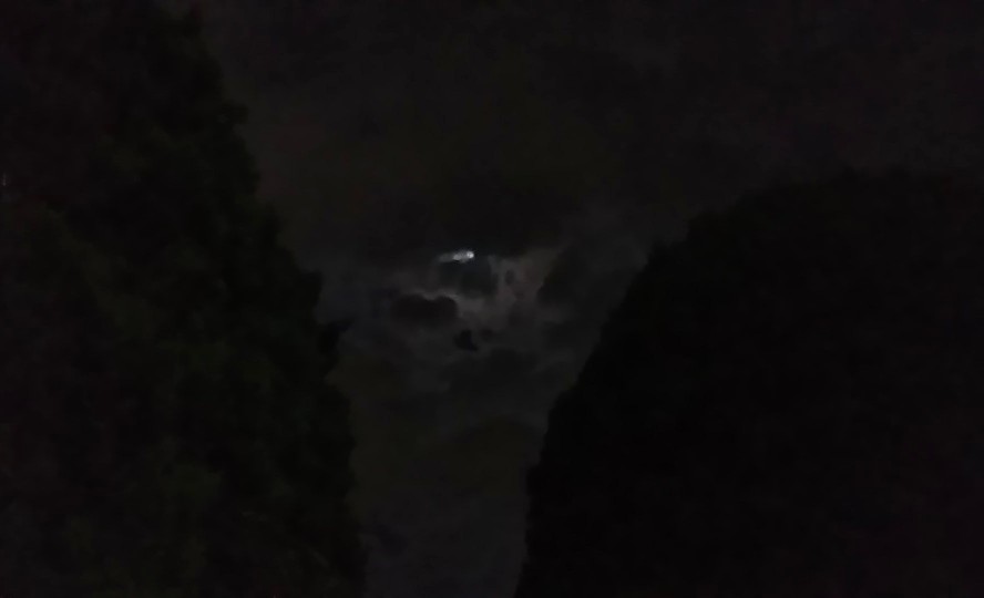 f:id:nonamed:20191111102340j:plain