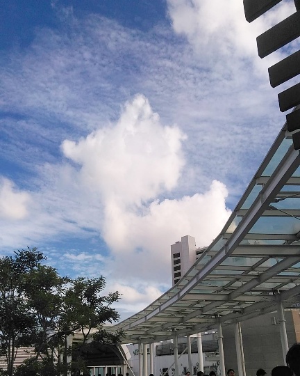 f:id:nonamed:20191209132205j:plain