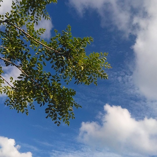 f:id:nonamed:20191209132706j:plain