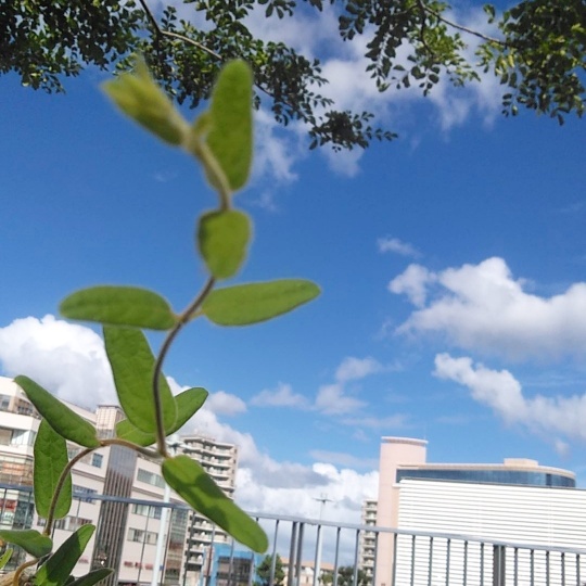 f:id:nonamed:20191209132941j:plain