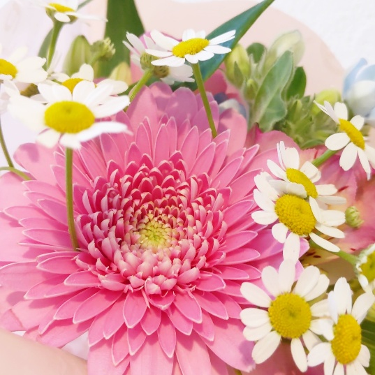 f:id:nonamed:20200202223636j:plain