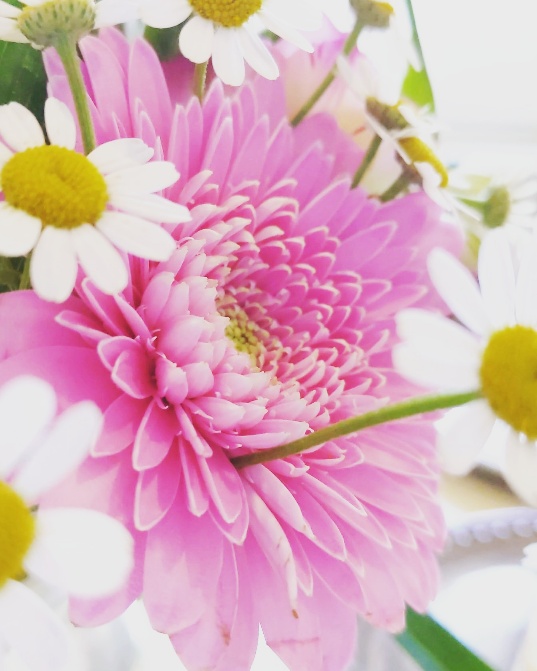 f:id:nonamed:20200202231049j:plain