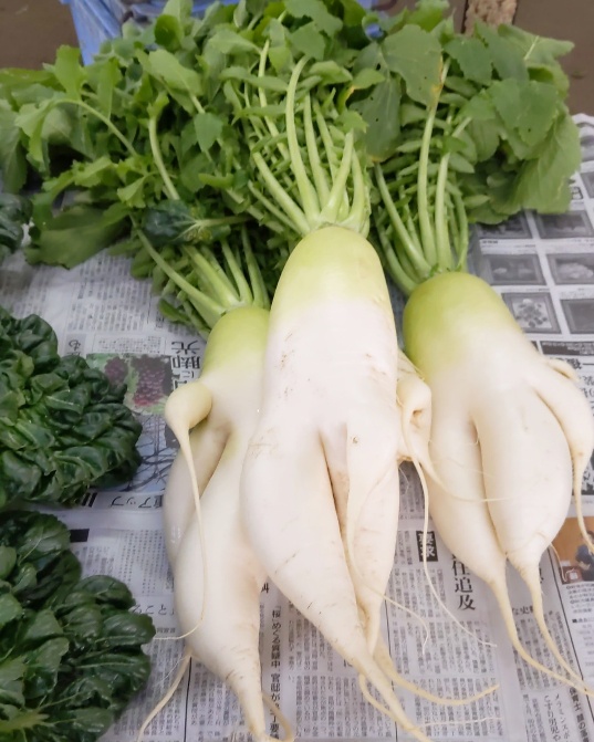 f:id:nonamed:20200225192820j:plain