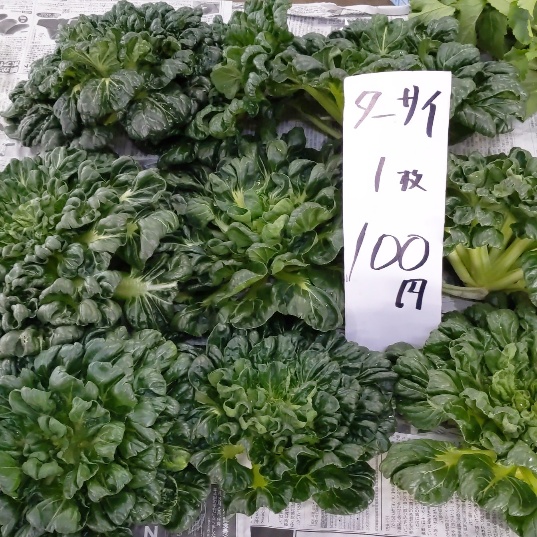 f:id:nonamed:20200225200122j:plain