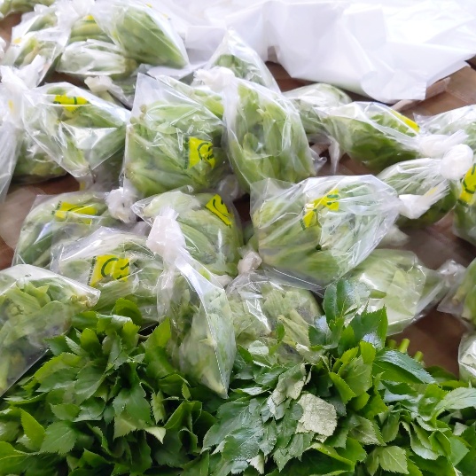 f:id:nonamed:20200225200200j:plain