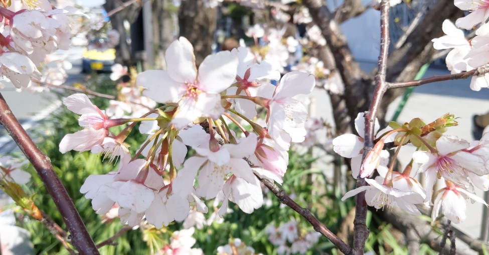 f:id:nonamed:20200226083055j:plain