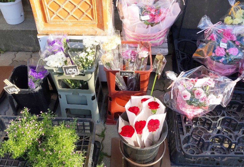 f:id:nonamed:20200509151832j:plain