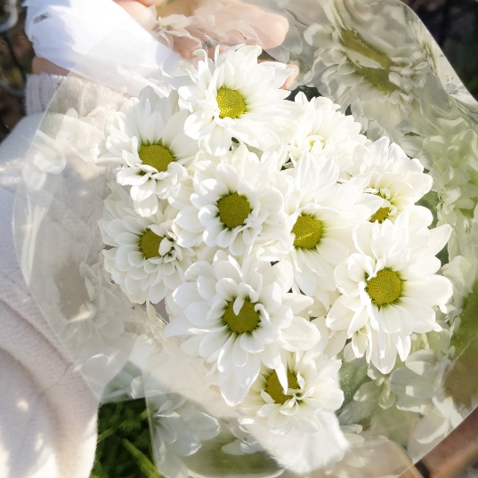f:id:nonamed:20200509151914j:plain