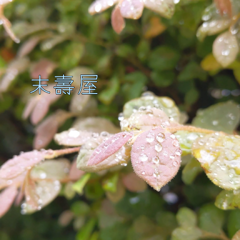 f:id:nonamed:20200622215747p:plain