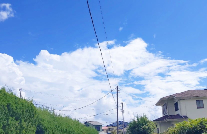 f:id:nonamed:20200906135310j:plain
