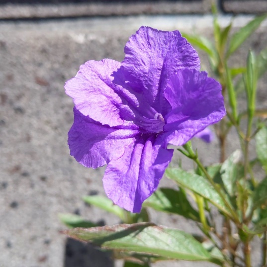 f:id:nonamed:20200906135717j:plain