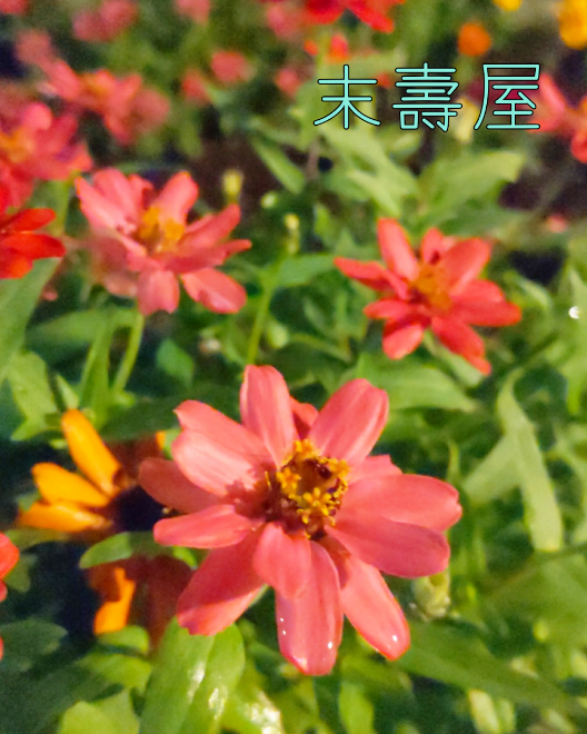 f:id:nonamed:20201023202608p:plain