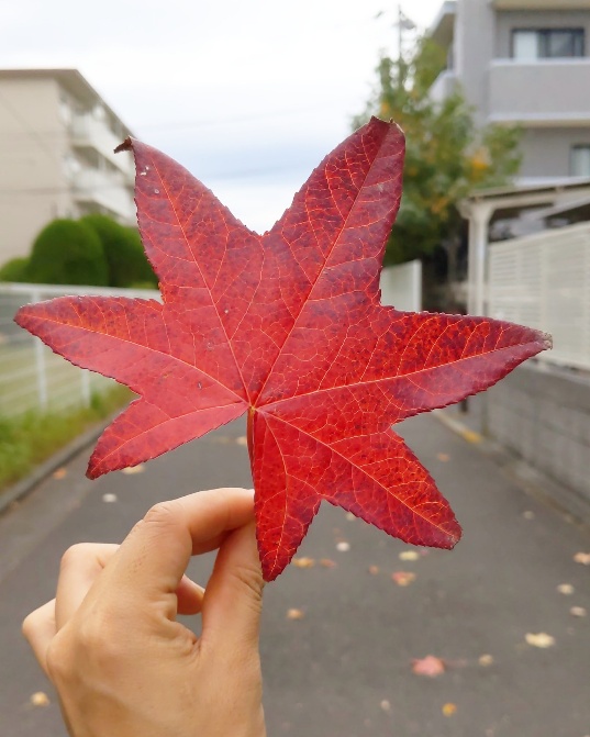 f:id:nonamed:20201107135934j:plain