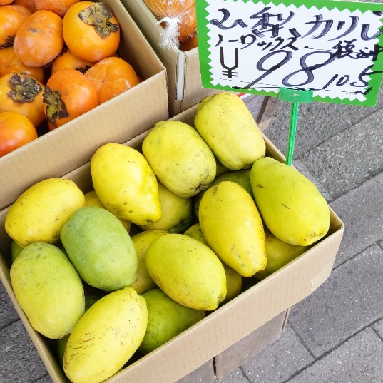 f:id:nonamed:20201107141110j:plain