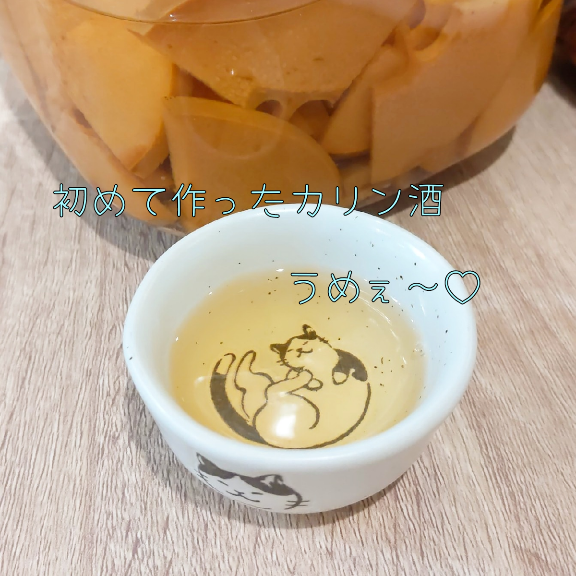 f:id:nonamed:20201227090104p:plain