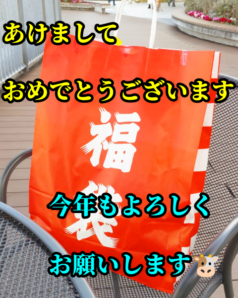 f:id:nonamed:20210101182821p:plain