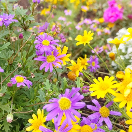 f:id:nonamed:20210212124026j:plain