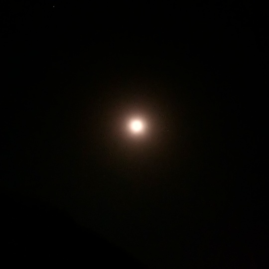 f:id:nonamed:20210428094730j:plain