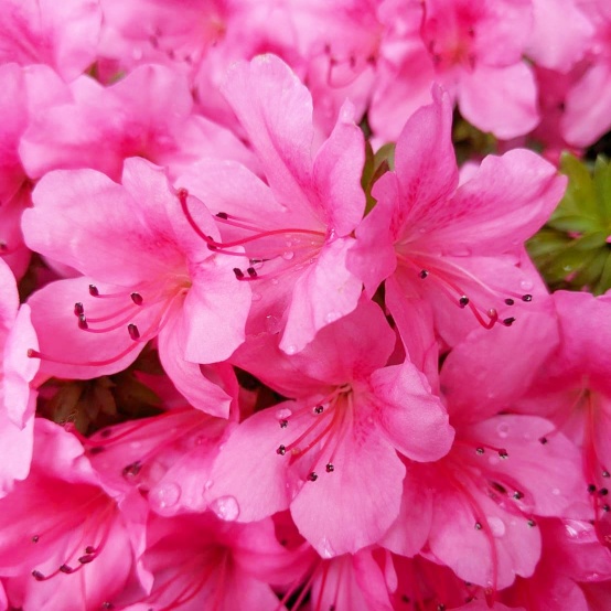 f:id:nonamed:20210521074833j:plain