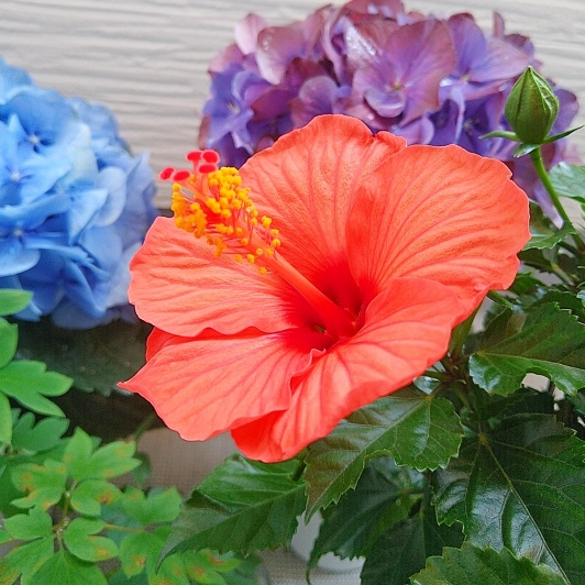 f:id:nonamed:20210524065340j:plain