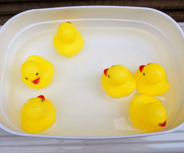 f:id:nonamed:20211019023454j:plain