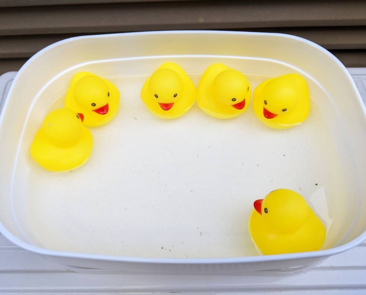 f:id:nonamed:20211025231415j:plain