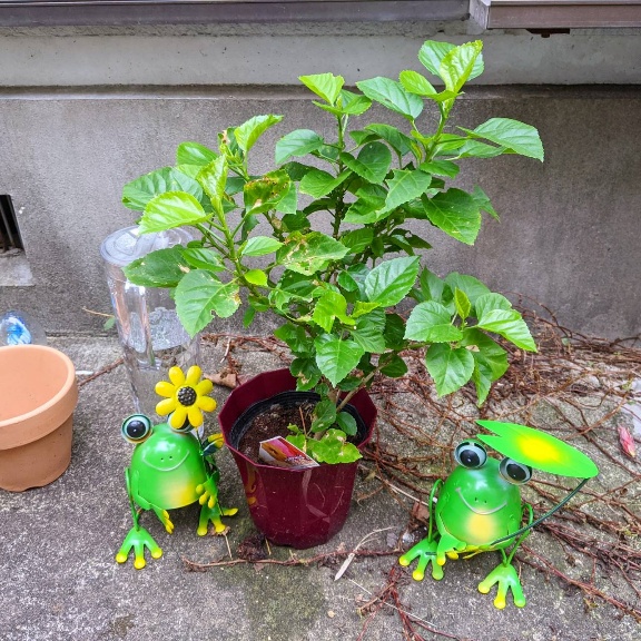 f:id:nonamed:20211028022916j:plain