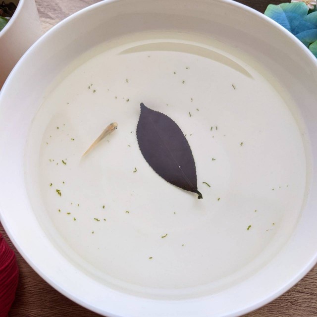 f:id:nonamed:20211028024802j:plain