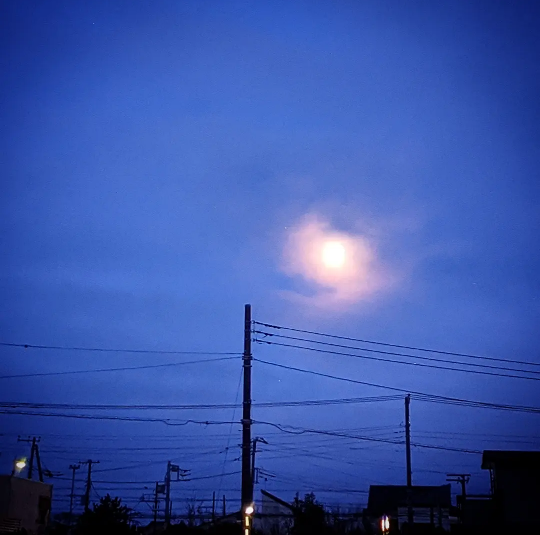 f:id:nonamed:20220319142215p:plain