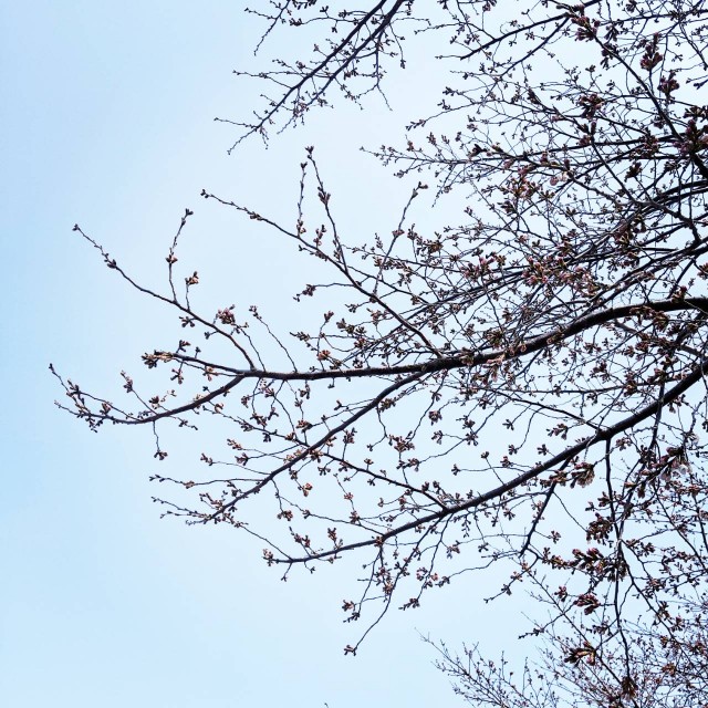 f:id:nonamed:20220326092016j:plain