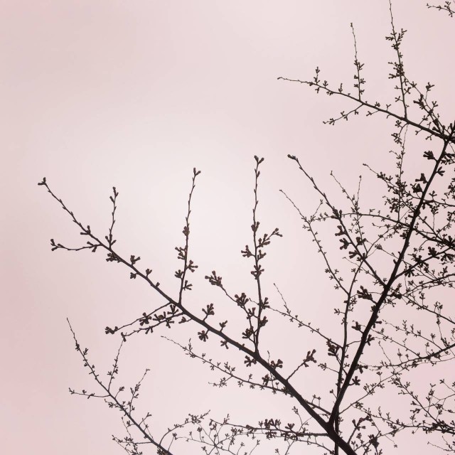 f:id:nonamed:20220327095538j:plain