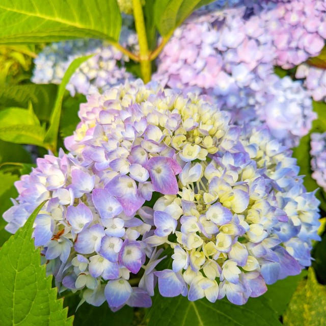 桜木町にて 今日もどこかで生きている