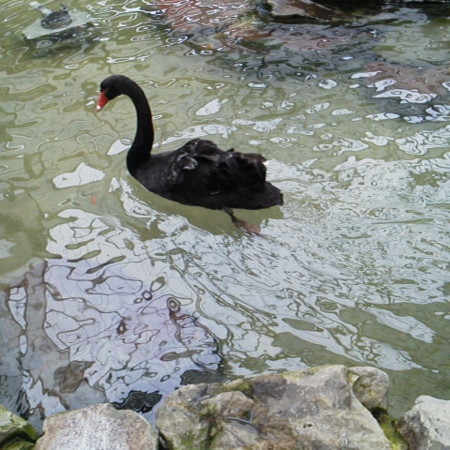 f:id:nonavias:20120502123031j:image