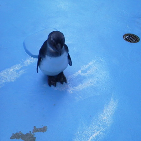 f:id:nonavias:20120502125453j:image