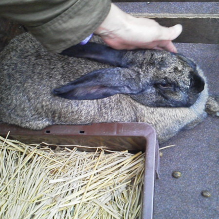 f:id:nonavias:20120502125544j:image