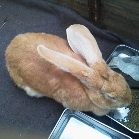 f:id:nonavias:20120502125620j:image