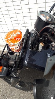 f:id:nonbirihirochang:20210505122618j:image f:id:nonbirihirochang:20210505122618j:image