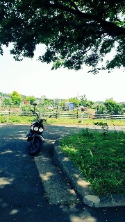 f:id:nonbirihirochang:20210505133449j:image f:id:nonbirihirochang:20210505133449j:image