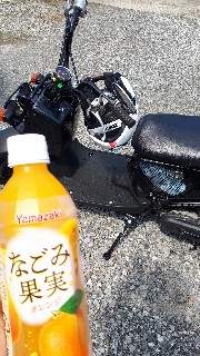 f:id:nonbirihirochang:20210602193804j:image f:id:nonbirihirochang:20210602193804j:image