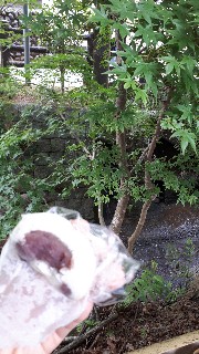 f:id:nonbirihirochang:20210607101908j:image f:id:nonbirihirochang:20210607101908j:image
