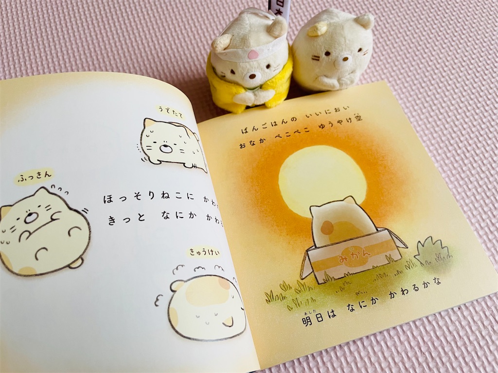 絵本 すみっコぐらし そらいろのまいにち』 紹介&感想 - のんびりいこね