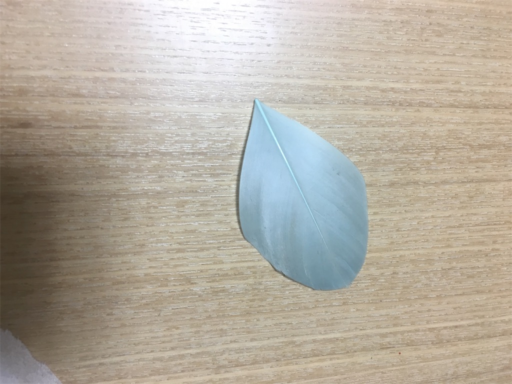 f:id:nonbirimochi:20171029234556j:image f:id:nonbirimochi:20171029234556j:image