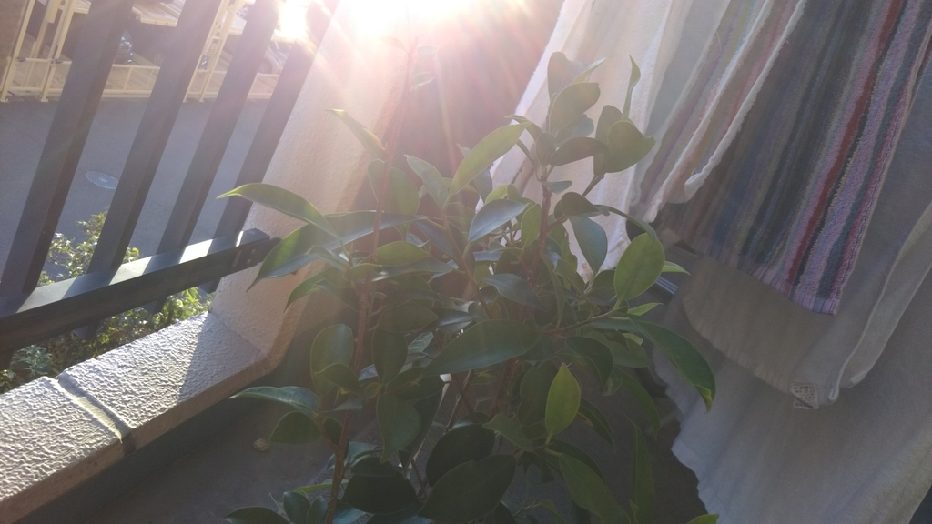 f:id:nonchi1010:20181029165932j:plain f:id:nonchi1010:20181029165932j:plain