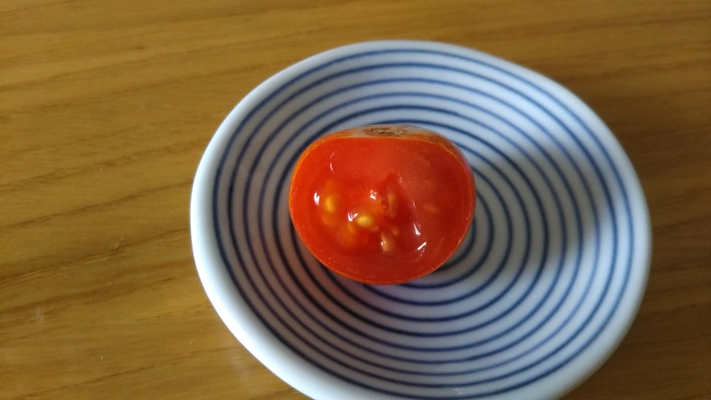 f:id:nonchi1010:20181118111935j:plain f:id:nonchi1010:20181118111935j:plain