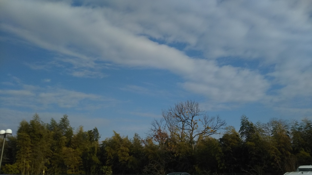 f:id:nonchi1010:20181223143244j:plain f:id:nonchi1010:20181223143244j:plain